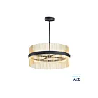 ET2 Lighting E34207-BKSBR Chimes WiZ 2-Lumières 146W Noir/Laiton satiné Suspendu