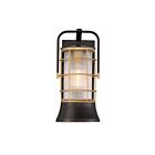 Lanterne murale d'extérieur Eurofase Rivamar 44262-013 60W 1-Lumière Bronze foncé