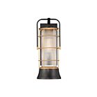 Lanterne murale d'extérieur Eurofase Rivamar 44264-017 60W 1-Lumière Bronze foncé