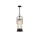 Suspendu incandescence Eurofase Rivamar 44266-011 60W Bronze foncé