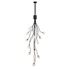Eurofase Lighting 50256-013 Athena 13-lumières 37.96W Noir mat LED Lustre