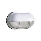 Galaxy Lighting 305562WH 100W Blanc Lumière marine extérieure