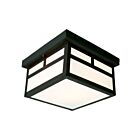 Galaxy Lighting 306120BK 80W Noir Plafonnier d'extérieur