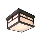 Galaxy Lighting 306120OBZ 80W Bronze ancien Plafonnier d'extérieur