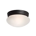 Galaxy Lighting 810310ORB 100W Bronze huilé Plafonnier encastré