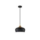Suspendu Kendal Lighting Orian PF129-BLK-BRS 1-lumière 100W Noir