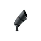 Projecteur d'appoint Kichler 16161BKT30 1-Lumière noir