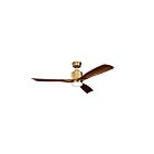 Ventilateur de plafond Kichler Ridley II 300027NBR 17 Watt laiton naturel