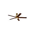 Ventilateur de plafond Kichler Brahm 300044NBR laiton naturel