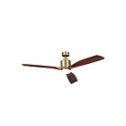 Ventilateur de plafond Kichler 300075NBR Laiton naturel brossé