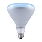 Lampe à réflecteur incandescente BR40 Spot-Gro Ledvance 120BR-GROW-3-RP-120V 120W