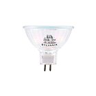 Ledvance 20MR16FLCBABCLAM 20W Halogène Ampoule 3000K