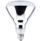 Lampe à réflecteur infrarouge incandescente BR40 Ledvance 250BR40-1-120V 250W
