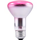 Lampe à réflecteur infrarouge incandescente R40 Ledvance 375R40-1-120V 375W