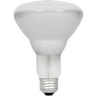Lampe halogène à réflecteur BR30 Ledvance 50BR30-HAL-120V 50W