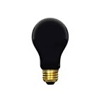 Ampoule A19 incandescente Ledvance 60A-BLACKLIGHT-RP-120V 60W