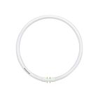 Tube T5 CFL circulaire, à 4 broches Ledvance FPC55830HO 55W