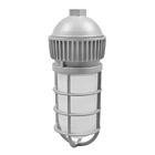 Luminaire avec cage LED Ledvance JELYJAR1A-010UNV750-PM-GR 10W