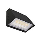 Ledvance WALPAKCPS030UNHD8SC15ADJBLP Noir Wallpack Wattage et CCT Sélectionnable