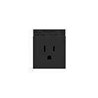 Legrand ARTR151G10 15A 125V Graphite Prise de courant simple inviolable