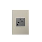 Legrand ARTR152M4 15A 125V Magnésium Réceptacle