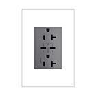 Legrand ARTRUSB20PD65M4 20A 125V Magnésium Réceptacle