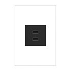 Legrand ARUSB2AA6G4 Graphite Prise de courant USB