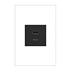Legrand ARUSB2AC6G4 125V Graphite Prise de courant USB