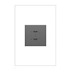 Legrand ARUSB30PDM4 20A Magnésium Module de prise USB double