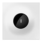 Legrand ASWV2032W2 Changer