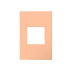 Legrand AWP1G2PY Plaque murale sans vis à un poste avec Microban