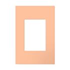 Legrand AWP1G3PY Plaque murale sans vis pour un poste de rangement