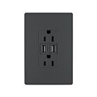 Legrand TM826USBGCCV4 15A Graphite Prise de courant USB