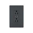 Legrand TM826USBGCCV4 15A Graphite Prise de courant USB