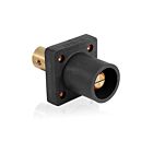 Leviton 16R19-UE Prise de panneau mâle noir Pb, borne taraudée 1/2