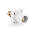 Leviton 16R19-UW Prise de panneau mâle blanc Pb, borne taraudée 1/2