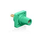 Leviton 16R24-1UG 400A 600V Réceptacle