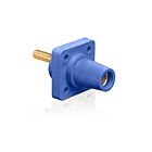 Leviton 16R24-4UB Prise bleue femelle série 16