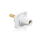 Leviton 16R24-4UW Prise femelle