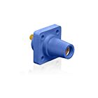 Leviton 16R24-UB Prise de panneau femelle bleue PbAvec goujon, nez conique de 0,75 po