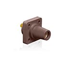 Leviton 16R24-UH Prise femelle marron série 16