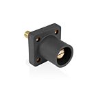 Leviton 16R25-1UE Prise de panneau mâle noir PbAvec goujon, nez conique de 1,125 po