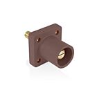 Leviton 16R25-1UH Prise de panneau mâle Pb marronAvec goujon, nez conique de 1,125 po