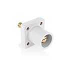 Leviton 16R25-1UW Prise de panneau mâle blanche PbAvec goujon, nez conique de 1,125 po
