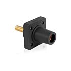 Leviton 16R26-1UE Prise femelle noire série 16