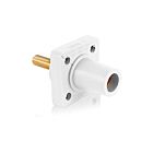 Leviton 16R26-1UW Prise femelle blanche série 16