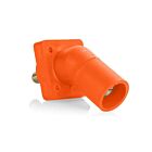 Leviton 16R29-UO Pb Orange mâle panneau prise fileté goujon 45Deg Sngl ensemble vis