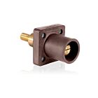 Leviton 16R31-XH Prise mâle marron à épaule étendue Sp 600V