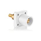 Leviton 16R31-XW Prise mâle blanche à épaule étendue Sp 600V