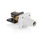 Leviton 16RSW-UW Connecteur de panneau femelle blanc, goujon fileté à nez coniqueAvec micro-interrupteur